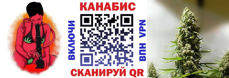 МАРИХУАНА конопля Щёкино